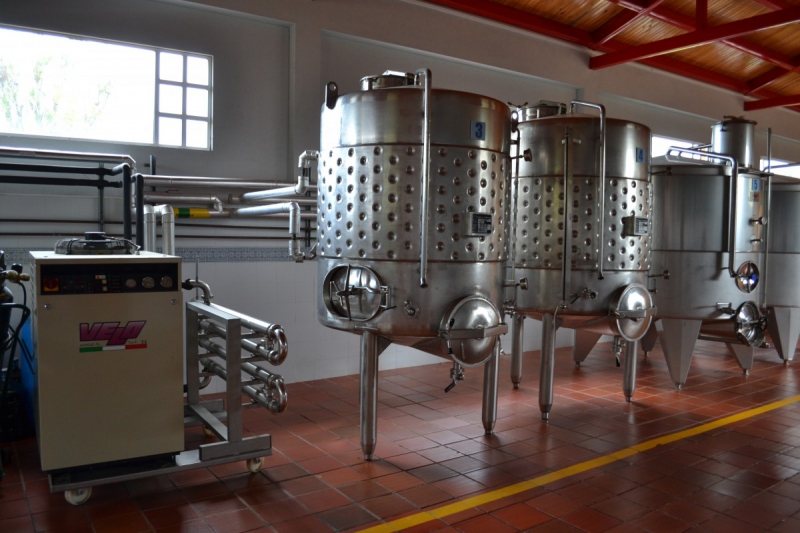 cave-ESCRAGNOLLES-min_wine_production_cantine_winery_drink_alcohol_vine_beverage-902036